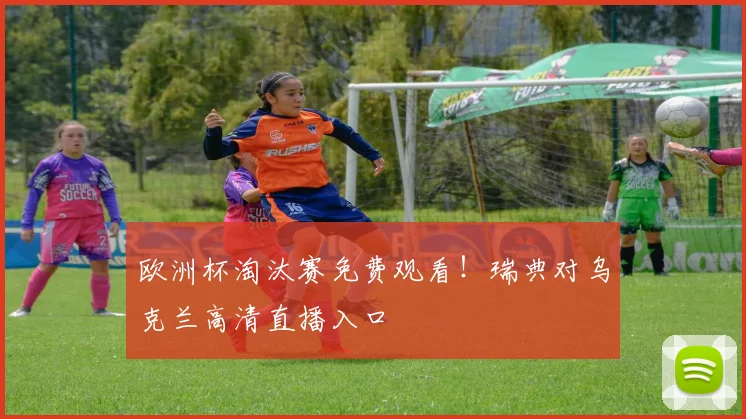 欧洲杯淘汰赛免费观看！瑞典对乌克兰高清直播入口